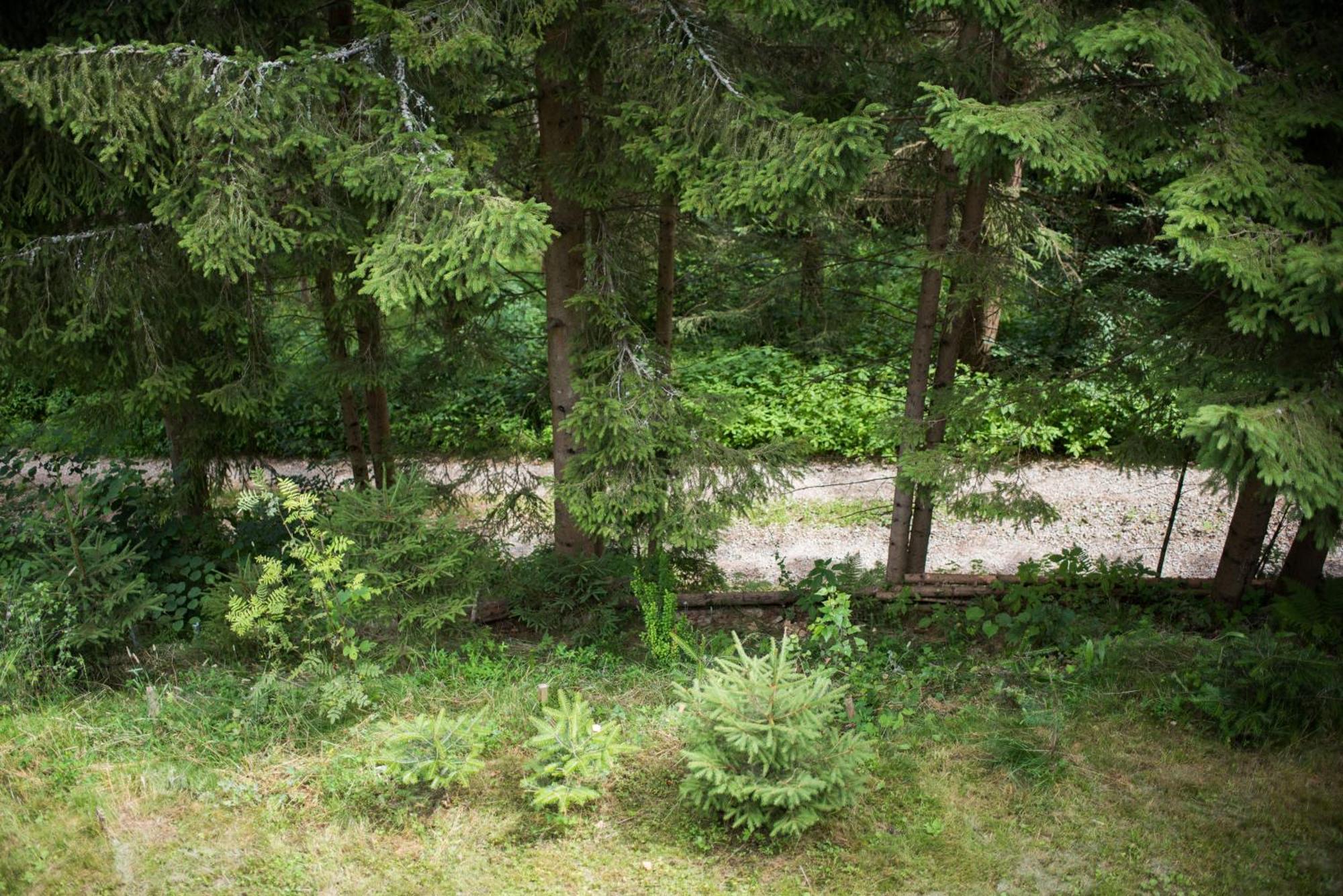 Lesna Kokava Villa Kokava nad Rimavicou Buitenkant foto